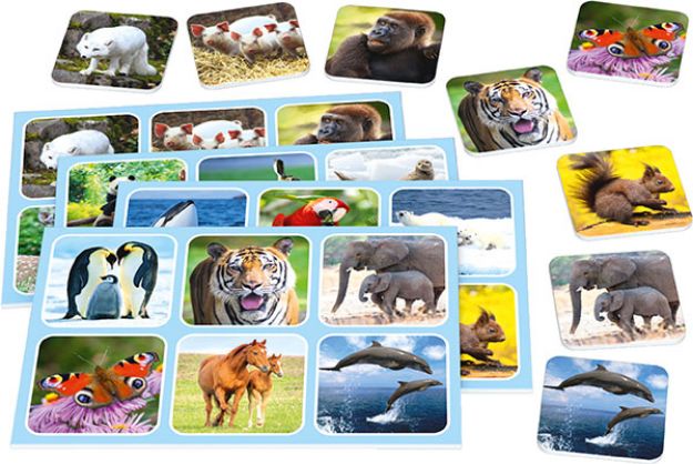 Bild von Zoo Lotto Metallbox - 51433