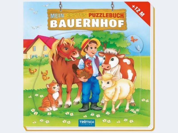Bild von BRIO 25 Bunte-Holzbausteine - 30114