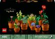 Bild von LEGO Botanicals - 10329 Mini Pflanzen