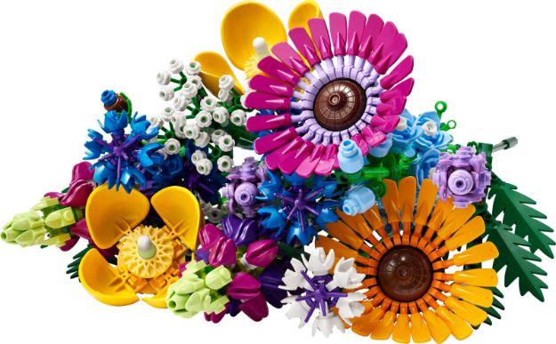 Bild von LEGO Botanicals - 10313 Wildblumenstrauß