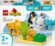 Bild von LEGO® DUPLO® - 10442 Wildtier-Familien: Pinguine und Löwen