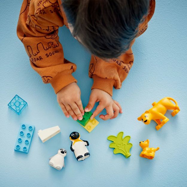 Bild von LEGO® DUPLO® - 10442 Wildtier-Familien: Pinguine und Löwen
