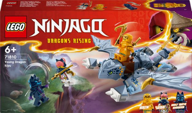 Bild von LEGO® NINJAGO - 71810 Riyu der Babydrache