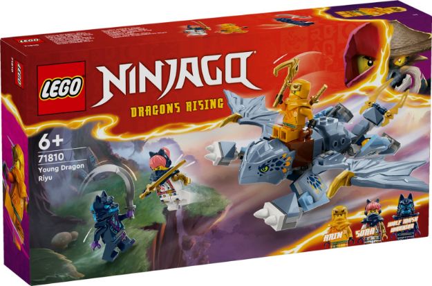 Bild von LEGO® NINJAGO - 71810 Riyu der Babydrache