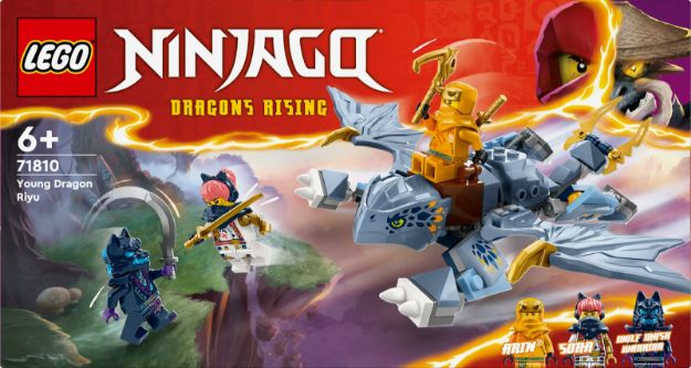 Bild von LEGO® NINJAGO - 71810 Riyu der Babydrache