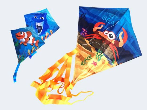 Bild von Darchen Sea Life 60x70cm - 422507