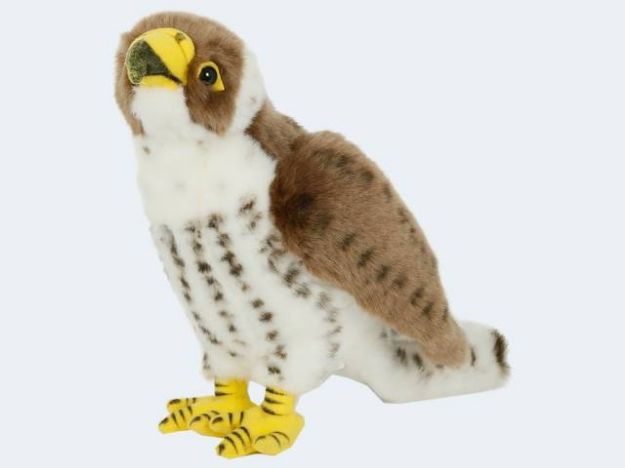Bild von SEMO Plüsch Falke 23cm - BD-09TB001