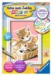 Bild von MnZ Katzenbabys 8,5x12 m Rahmen - 29686