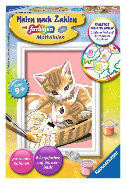 Bild von MnZ Katzenbabys 8,5x12 m Rahmen - 29686