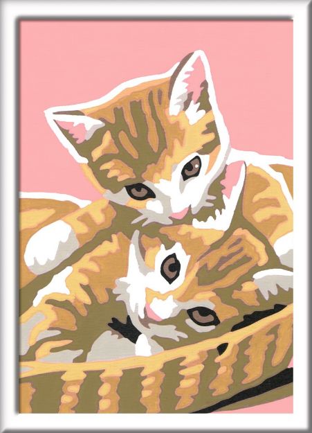 Bild von MnZ Katzenbabys 8,5x12 m Rahmen - 29686