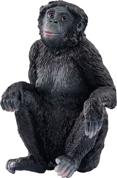 Bild von Schleich WL Bonobo Weibchen