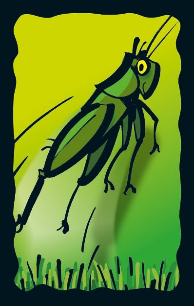 Bild von Schmidt Spiele Schummel Hummel - 40881
