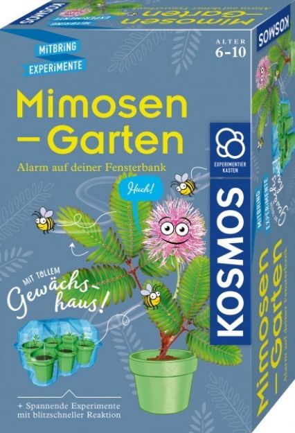Bild von Mimosen Garten Mitbring-Experimente - 657802
