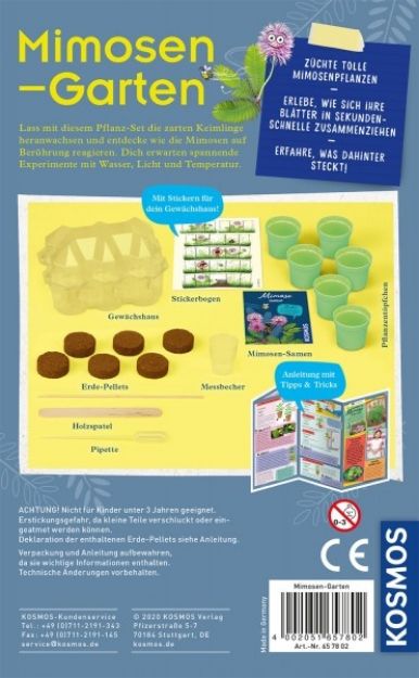 Bild von Mimosen Garten Mitbring-Experimente - 657802