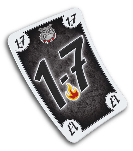 Bild von Schmidt Spiele Black DOG® - 49323