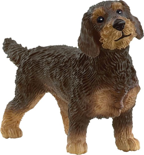 Bild von Schleich FW Rauhaardackel