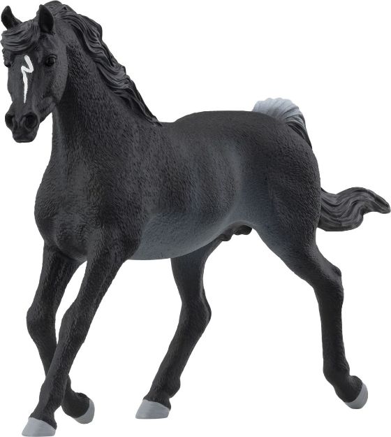 Bild von Schleich HC Araber Hengst