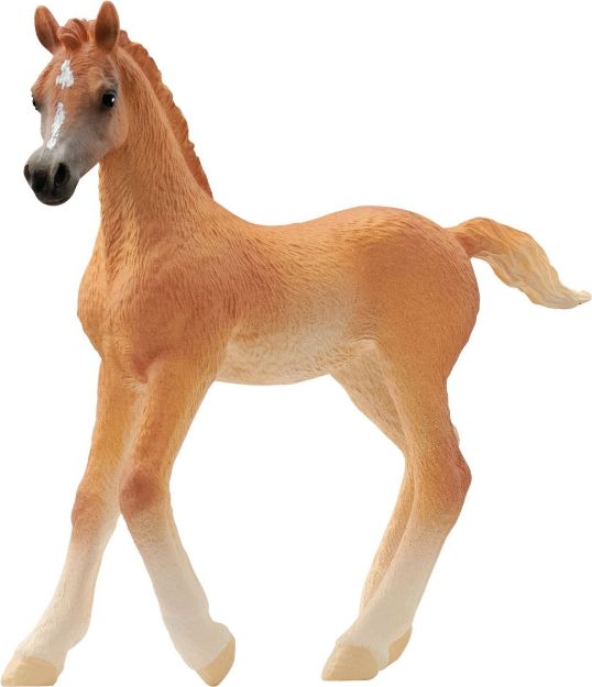 Bild von Schleich HC Araber Fohlen
