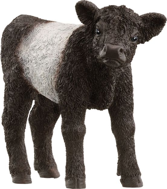Bild von Schleich FW Galloway Kalb