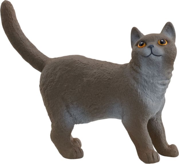 Bild von Schleich FW Britische Kurzhaar Katze