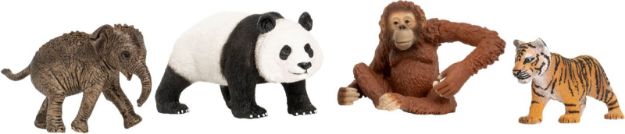 Bild von Schleich Wild Life Asien Starter-Set