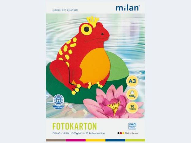 Bild von Milan Fotokartonblock A3 10Bl 300g - verschiedene Farben - 733