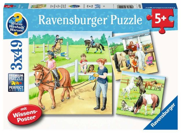 Bild von Puzzle 3x49T WWW: Ein Tag auf dem Reiterhof - 05129