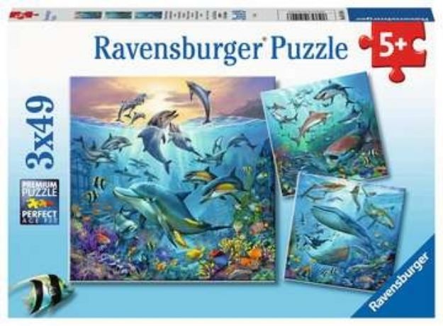 Bild von Puzzle 3x49T Tierwelt des Ozeans - 05149