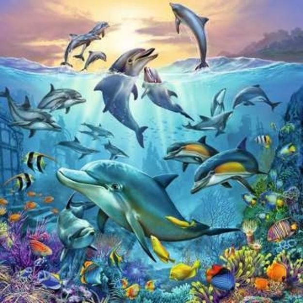 Bild von Puzzle 3x49T Tierwelt des Ozeans - 05149