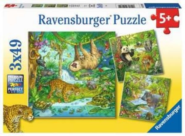 Bild von Puzzle 3x49T Dschungel - 05180