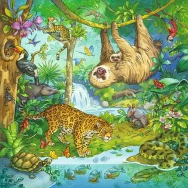 Bild von Puzzle 3x49T Dschungel - 05180