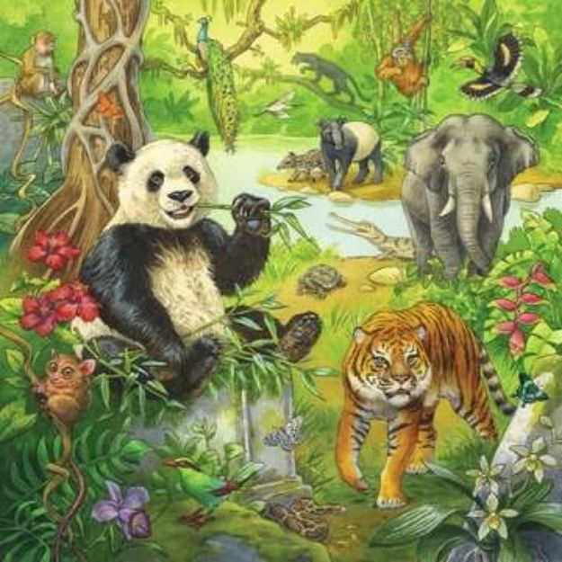 Bild von Puzzle 3x49T Dschungel - 05180