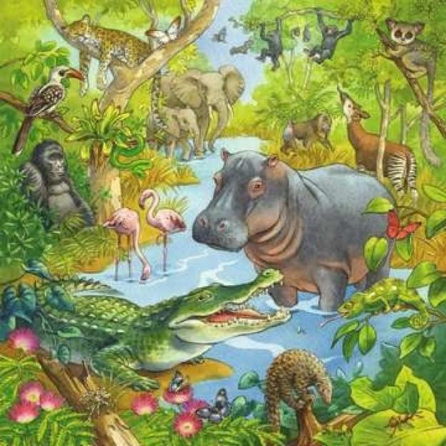 Bild von Puzzle 3x49T Dschungel - 05180