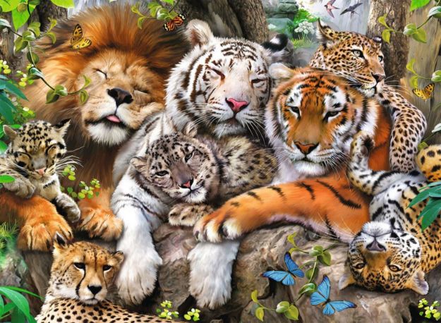Bild von Puzzle 200T XXL Raubkatzen - 12721