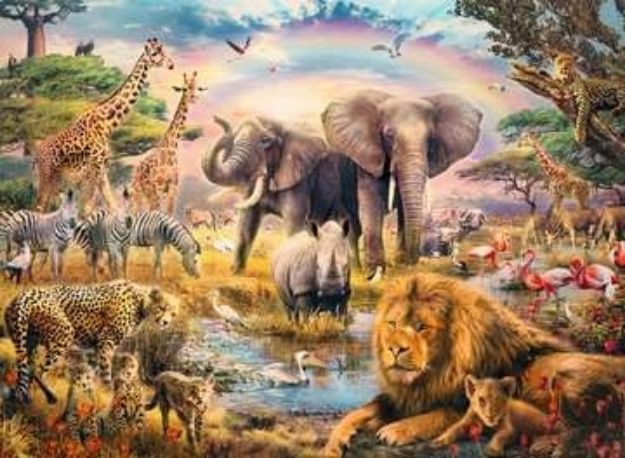 Bild von Afrikanische Savanne - 13284