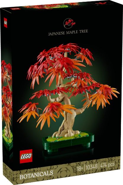 Bild von LEGO Botanicals - 10348 Japanischer Roter Ahorn – Bonsai-Baum