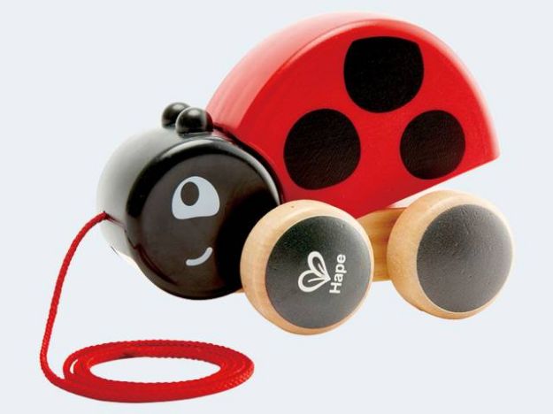 Bild von Hape Nachziehkäfer Marie - E0362