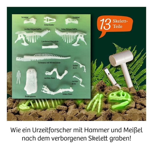 Bild von Kosmos Nachtleuchtender T-REX - 658021