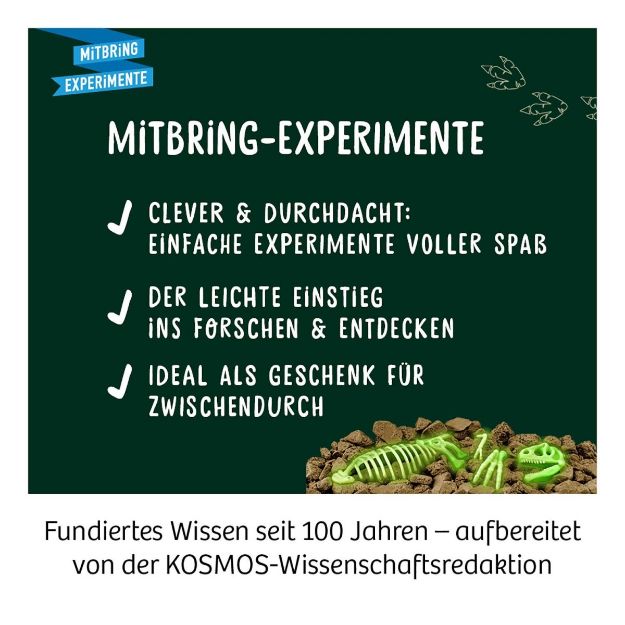 Bild von Kosmos Nachtleuchtender T-REX - 658021