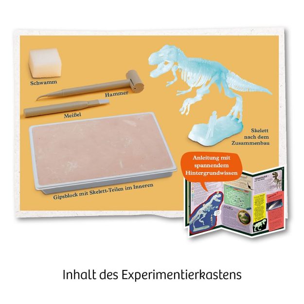 Bild von Kosmos Nachtleuchtender T-REX - 658021