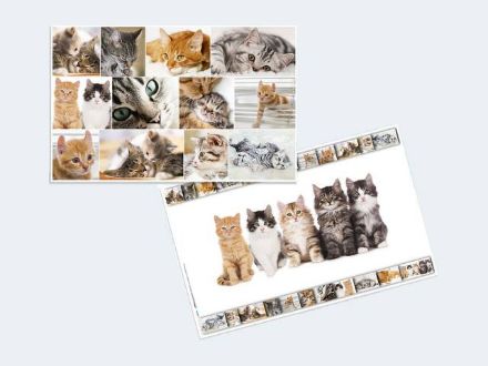 Zeige Details für Schreibunterlage Katze 55x35cm - 19379 Bild von Schreibunterlage Katze 55x35cm - 19379