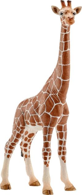 Bild von schleich® Wild Life - 14750 Giraffenkuh, ab 3 Jahre