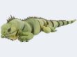 Bild von SEMO Leguan mittel 55cm - DRV-22LN01