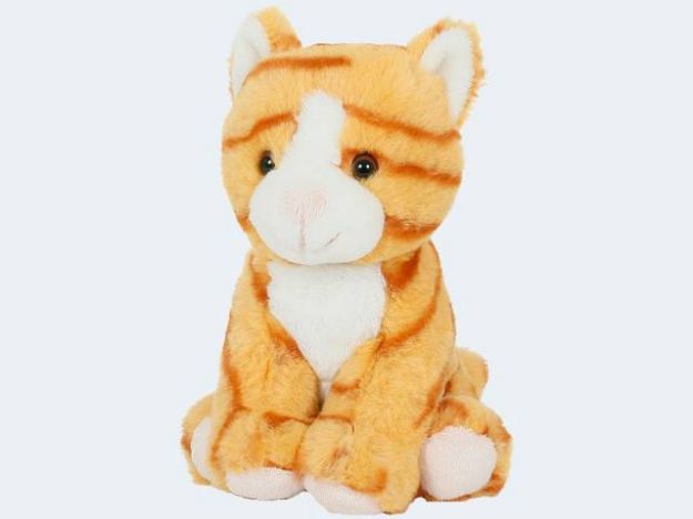 Bild von SEMO Soft Baby Katze gold 18cm - CTO-07SD01