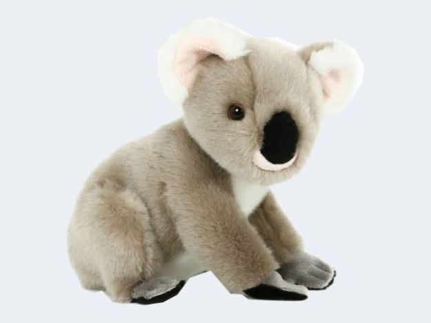 Bild von SEMO Koala klein 29cm Premium Edition - KOV-08SG08