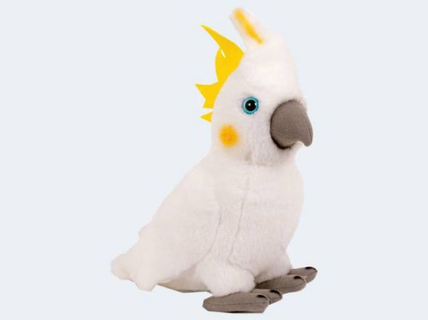 Bild von SEMO Kakadu 20cm - BDV-08TW07