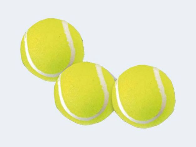 Bild von 3 Tennisbälle im Beutel - 74270