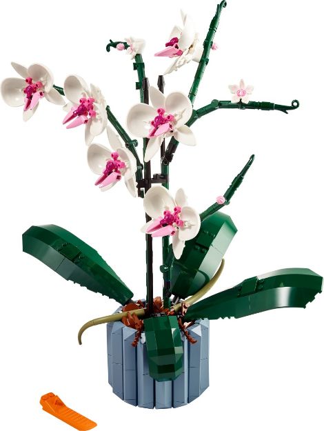 Bild von LEGO Botanicals - 10311 Orchidee