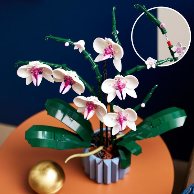 Bild von LEGO Botanicals - 10311 Orchidee
