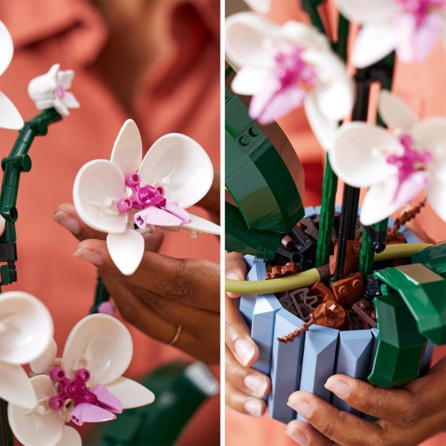 Bild von LEGO Botanicals - 10311 Orchidee